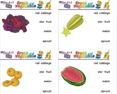 Holzcomputer fruit-vegetable 11.pdf